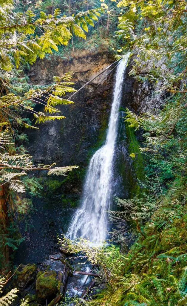 Marymere Falls - one of the most popular hikes to include in your Olympic National Park Itinerary.