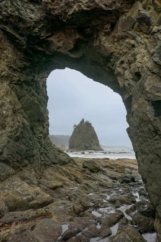 A sea stack in view of the Hole in the Wall at Rialto Beach. A great hike in Olympic National Park with kids.