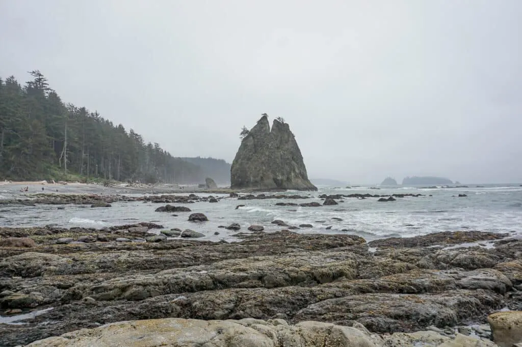Rialto Beach at low tide with a towering sea stack. 