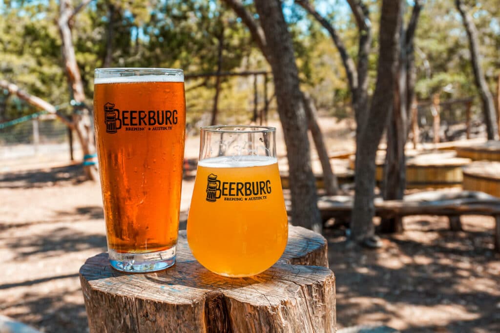 A tall and short glass of nature beers on a tree stump from Beerburg Brewery in Dripping Springs, Texas.