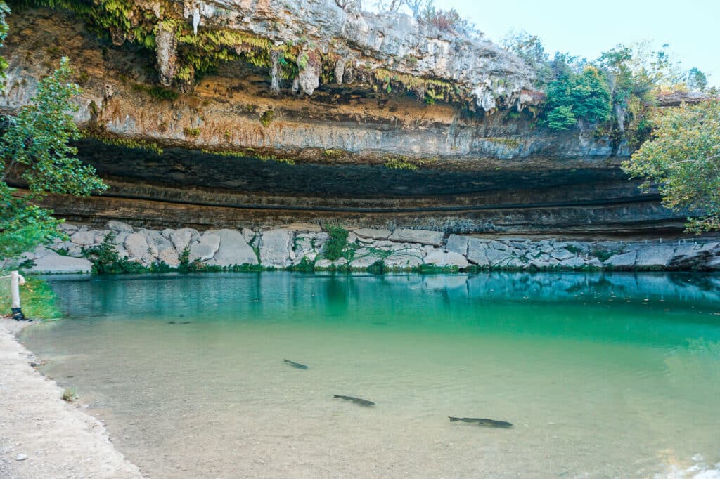 A box canyon with an emerald green natural swimming hole with catfish swimming near the shore. Location: Hamilton Pool - one of the best things to do in Dripping Springs.