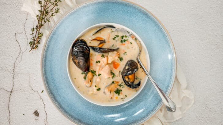 A sprig of fresh thyme next to a light blue plate with a bowl of Irish Seafood Chowder with open mussels, chunks of cod, and salmon.