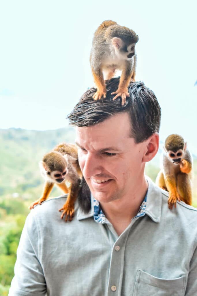 A man with a monkey on his head and a monkey on each shoulder at Monkeyland - one of the best things to do in La Romana.