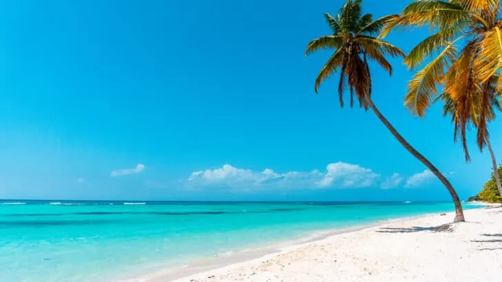 A leaning palm tree on a remote beach on Saona Island.