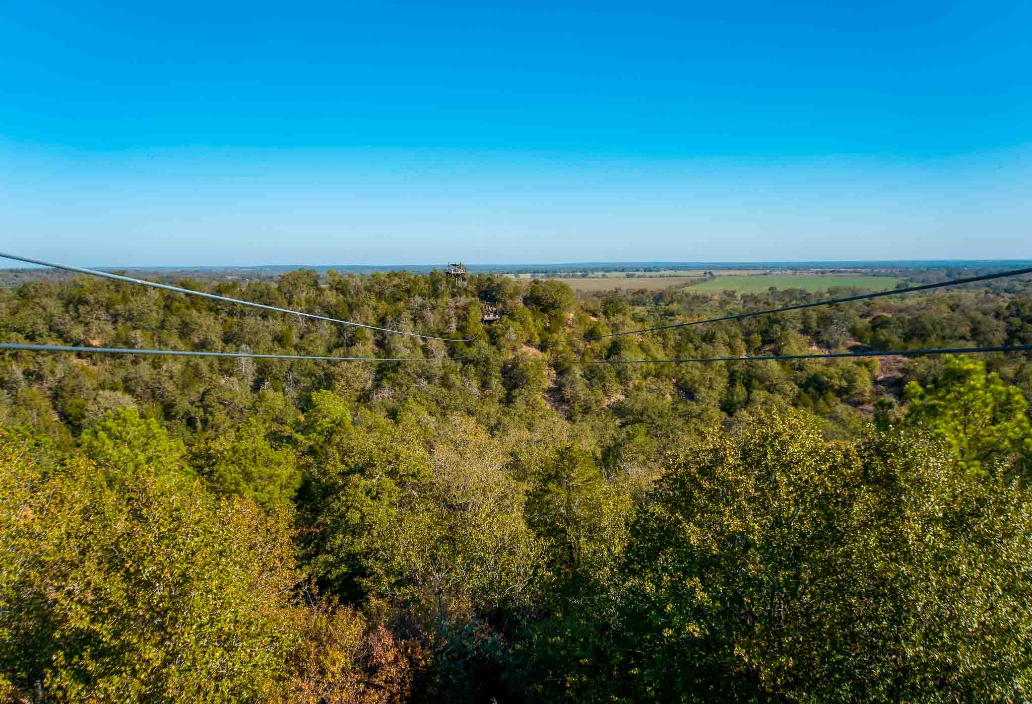 A view of dual ziplines in a tree canopy in Central Texas at McKinney Roughs Nature Park.